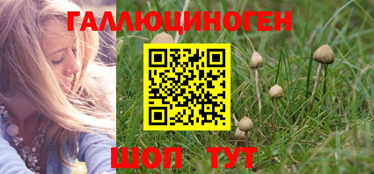 Галлюциногенные грибы мухоморы Химки